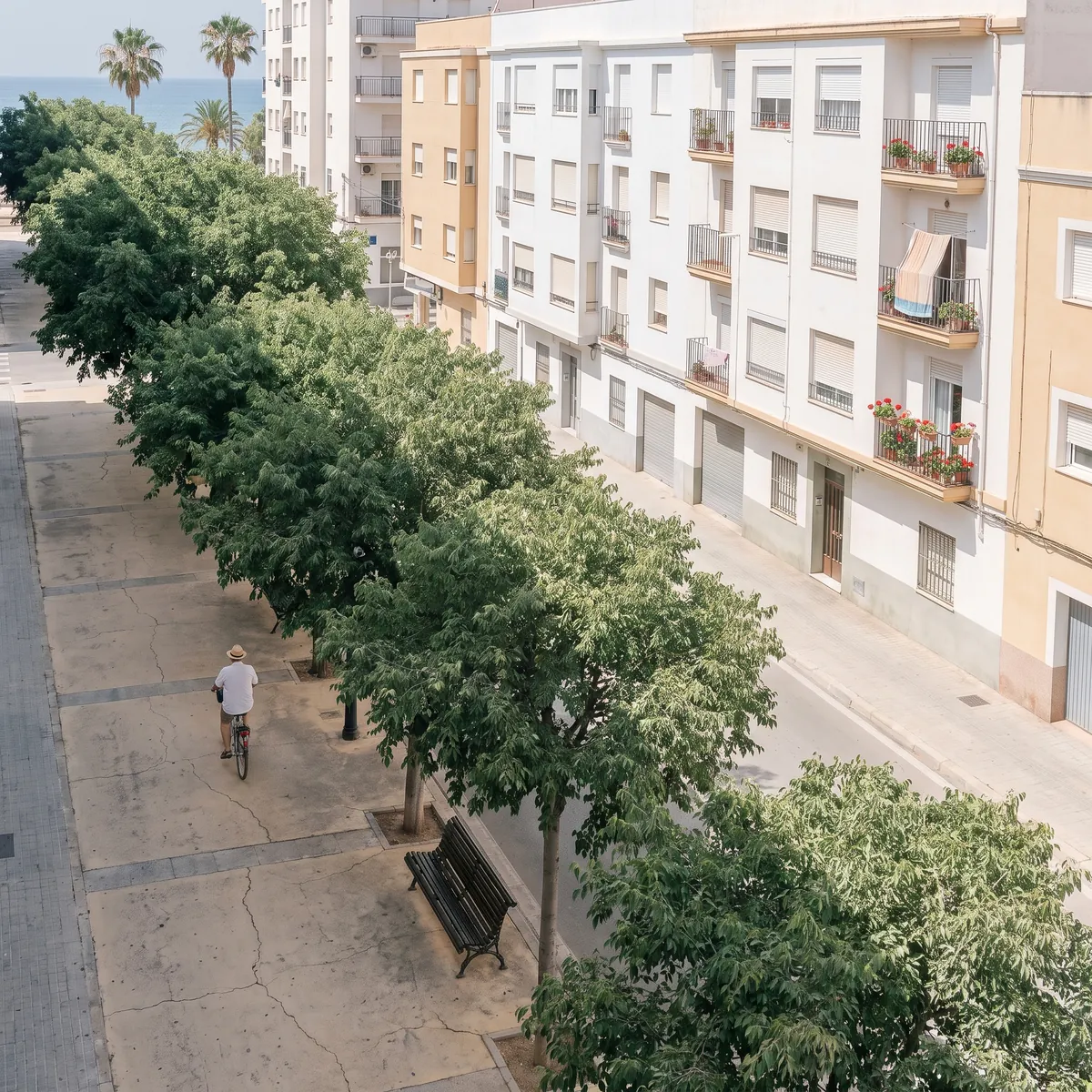 Árboles en la acera